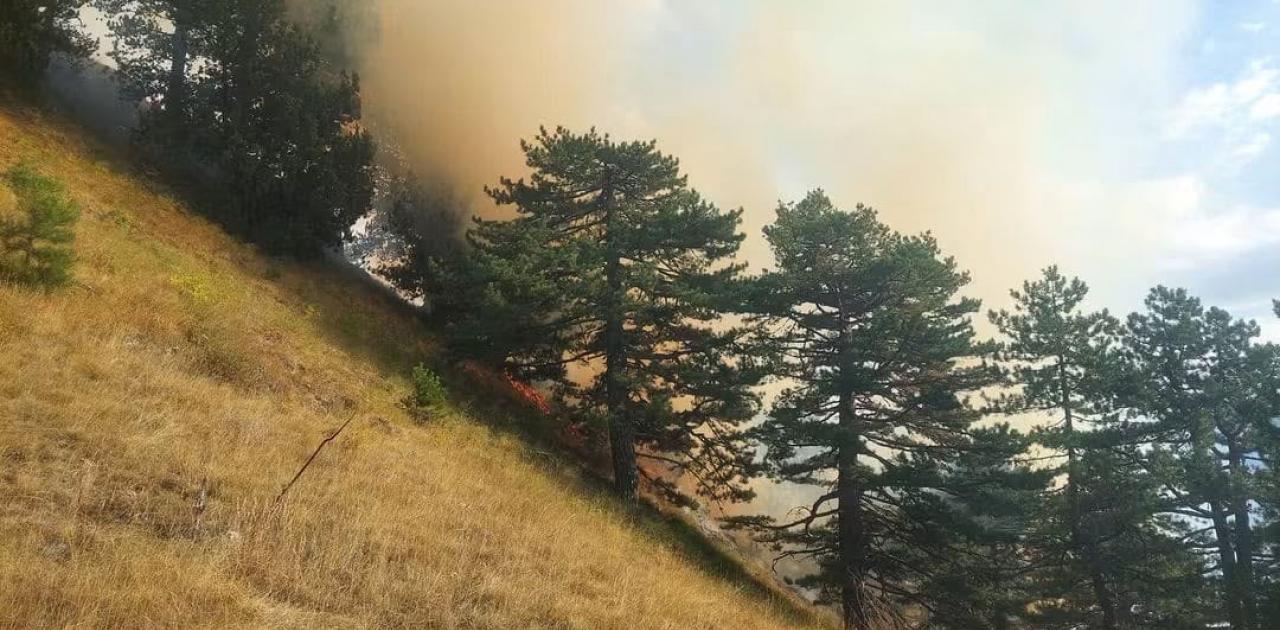 Κόνιτσα: Βελτιωμένη η εικόνα της πυρκαγιάς που μαίνεται για 8η ημέρα – Τι δυσκολεύει τις πυροσβεστικές δυνάμεις
