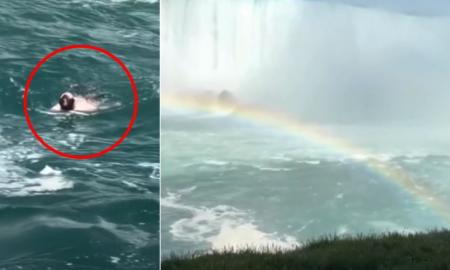 niagara