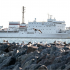 Akademik Ioffe