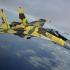 Su-37 Terminator