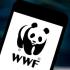 WWF