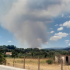 fotia