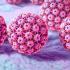 HPV