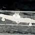rosia-drone-narkes