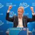 AFD - Γερμανία