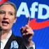 AfD - Γερμανία