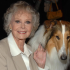 lassie