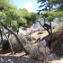 αττικη