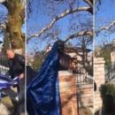 Βασίλειος Σαχίνης