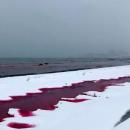 καζακστάν
