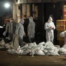 γρίπη των πουλερικών