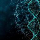 DNA