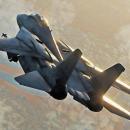 F-14 Tomcat