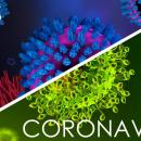 coronovirus sars