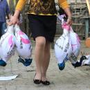 Κορωνοϊός και ζώα