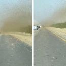 Σμήνος από ακρίδες