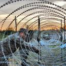 συρματοπλέγματα κονσερτίνας