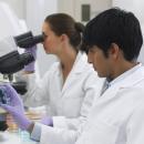 Novartis