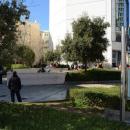 Αμπελόκηποι