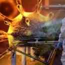 Κορωνοϊός και φορείο