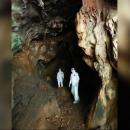 Κυνηγοί ιών