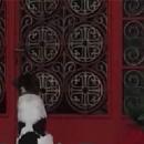 Σκύλος εκκλησία