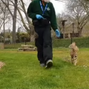 ζωολογικος κηπος