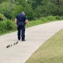 παπάκια αστυνομικός