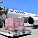 Turkish airlines cargo