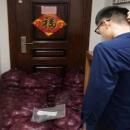 Ένας τόνος κρεμμύδια