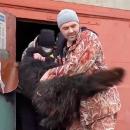 Εγκαταλειμμένος σκύλος