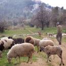 Μυτιλήνη