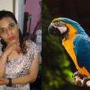 παπαγάλος μάρτυρας