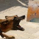 επίθεση σκύλου κρήτη 