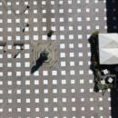 Ιταλία πλατεία