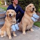 λαμπραντο και μπυρα