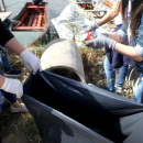 Δράση καθαρισμού του Δέλτα του Έβρου