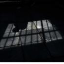 Φυλακισμένος