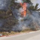 Φωτιά στο Αργάσι