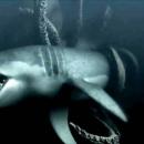 γιγάντιο καλαμάρι και καρχαρίας