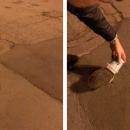 σκατζόχοιρος