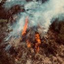 πυρκαγιά Ζάκυνθος