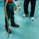 Αλεξάνδρεια Ημαθίας