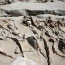 Δεσμώτες του Φαλήρου