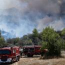 Φωτιά στην Ηλεία