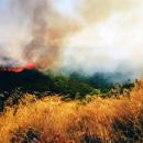 Φωτιά στους Αγίους Θεοδώρους