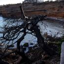 παράλια στο Μάτι