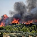 πυρκαγιά στην Πρέβεζα