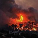 φωτιά στις Κεχριές