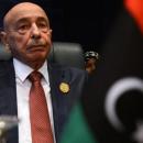 Ageela Saleh